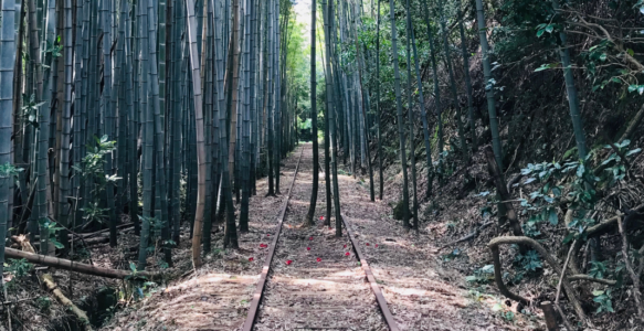 旧国鉄倉吉線廃線跡