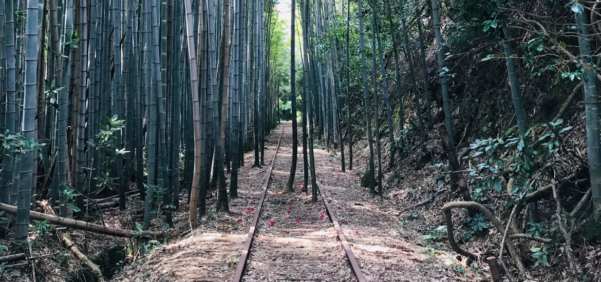 旧国鉄倉吉線廃線跡